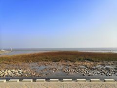 -南汇嘴观海公园