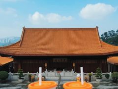 -深圳仙湖植物园