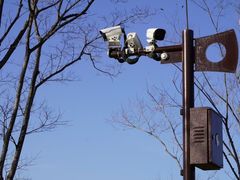 -盘龙城国家考古遗址公园