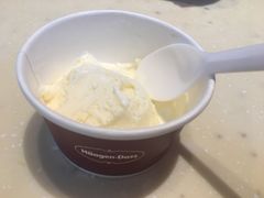 经典牛乳冰激凌-哈根达斯(扬州瘦西湖店)