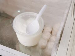 -洪馨椰子