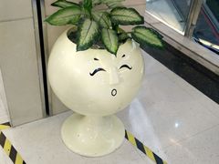 -莲花国际广场