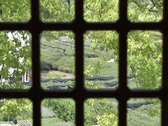 -龙坞茶村