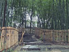 -乌镇东栅景区