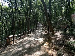 -苏州上方山国家森林公园