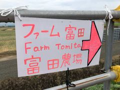 -富田农场