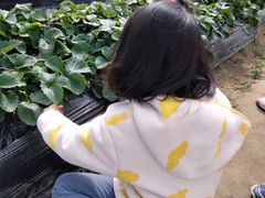 -子悦童萌国际托育中心(珠江新城店)