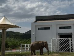 -大青山野生动物园