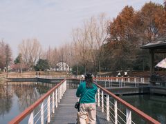 -同里国家湿地公园