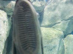 -福州罗源湾海洋世界旅游区