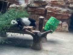 -石家庄市动物园