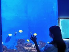 -石家庄海洋公园
