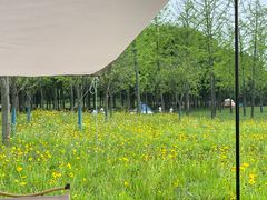 -洨河生态公园