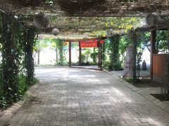 -海盗餐厅