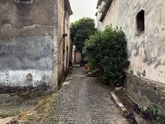 -东梓关景区村庄