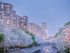 -上海浦东嘉里大酒店
