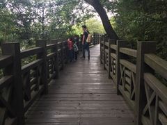 -白马涧龙池景区