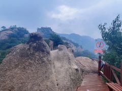 -大岭沟猕猴桃谷风景区