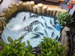 -东北大院·东北菜(三台子店)
