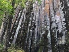 -望天鹅景区