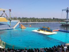 -秦皇岛乐岛海洋王国