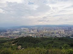 -长虫山生态公园风景林