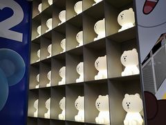 -line friends(明洞旗舰店)