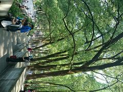 android_upload_pic-忠山公园