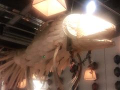 大堂-一井烧肉·活鳗·寿司(望京SOHO店)