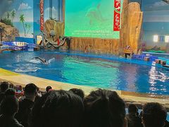 -华夏文旅海洋公园