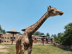 -济南野生动物世界