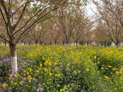 -古柏渡飞黄旅游区