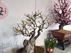 -颐和园