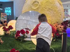 -西安电影制片厂