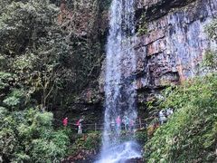 -龙苍沟森林公园