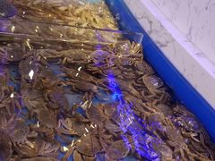 -澜悦港海鲜体验主题餐厅