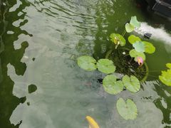 -濮园 · 四合院餐厅