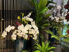 -星悦荟健身游泳(珠江新城店)