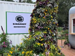 -深圳仙湖植物园