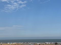 -日照海滨国家森林公园