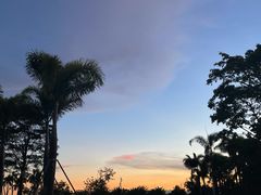 -朴鲸家正宗韩国料理(福田店)