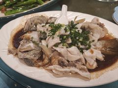 特色香葱淋鲈鱼-粤·向群饭店(泮塘路店)