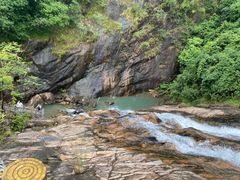 -广州白江湖森林公园