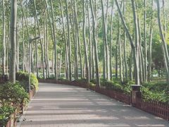 -仁和公园(顺义区)
