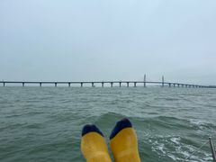 -港珠澳大桥(珠海段)