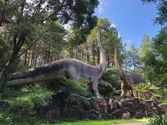 -佛冈森波拉度假区