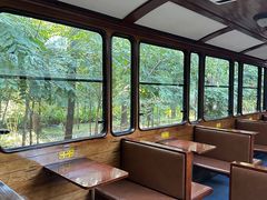 -合肥滨湖国家森林公园