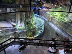 -迪拜水族馆及水下动物园