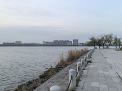 -南湖国家城市湿地公园