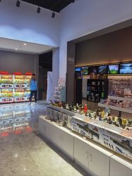 -飞览天下沉浸式飞行体验(北京旗舰店)